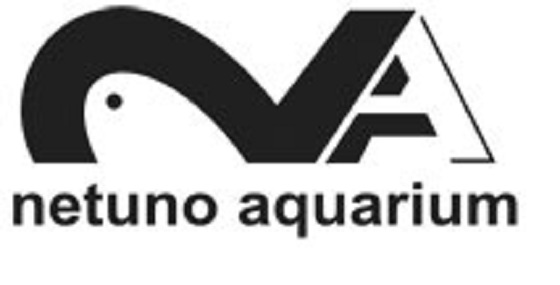 Netuno Aquarium | São Paulo SP