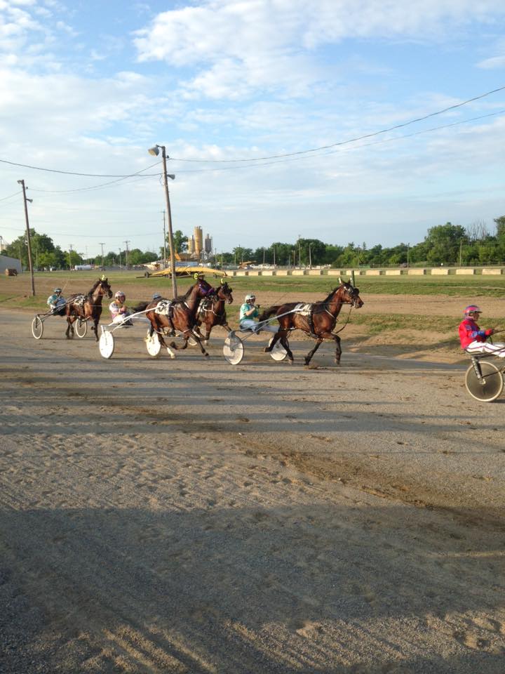 Ohio Harness Horsemen's Association | Grove City OH