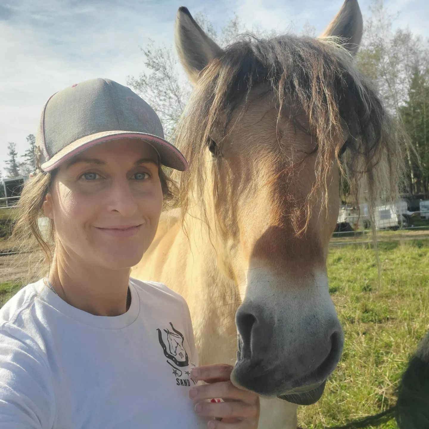 The ponies approve of their new... - Sand Valley Ranch | Facebook