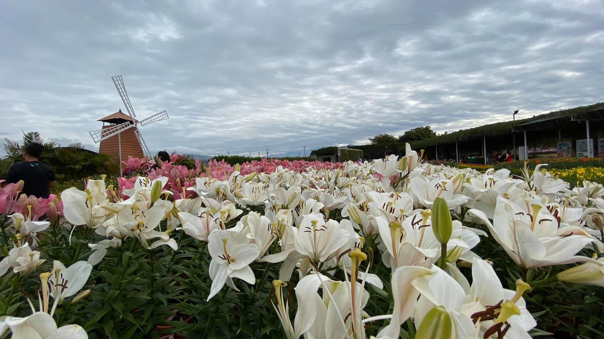 百花爭妍好精神... - 台湾阿泰九份十份台北台中日月潭清境嘉义高雄宜兰Taiwan Private tor