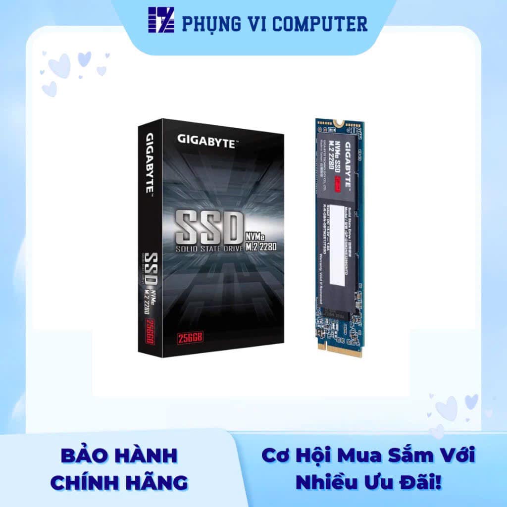 Phụng Vi Computer | Ho Chi Minh City
