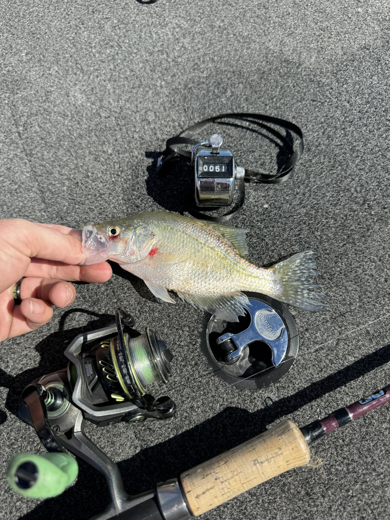 best fishing pole for crappie and bass Big Game Change reel allows for quick line swapping by inserting a new pony spool into the reel cradle West Point Crappie Rod 12
