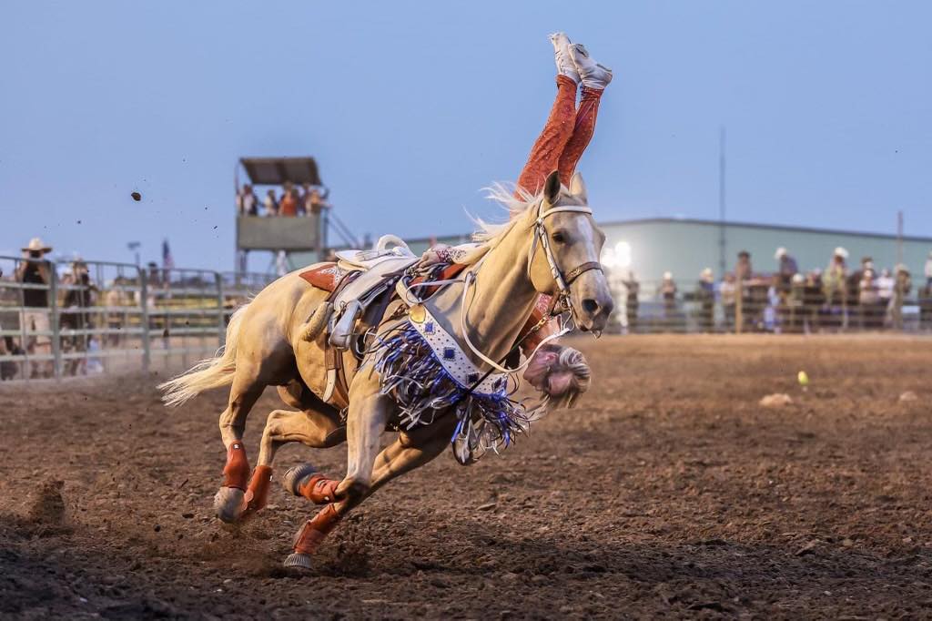 The Douglas County Rodeo has been... - Visit Carson Valley