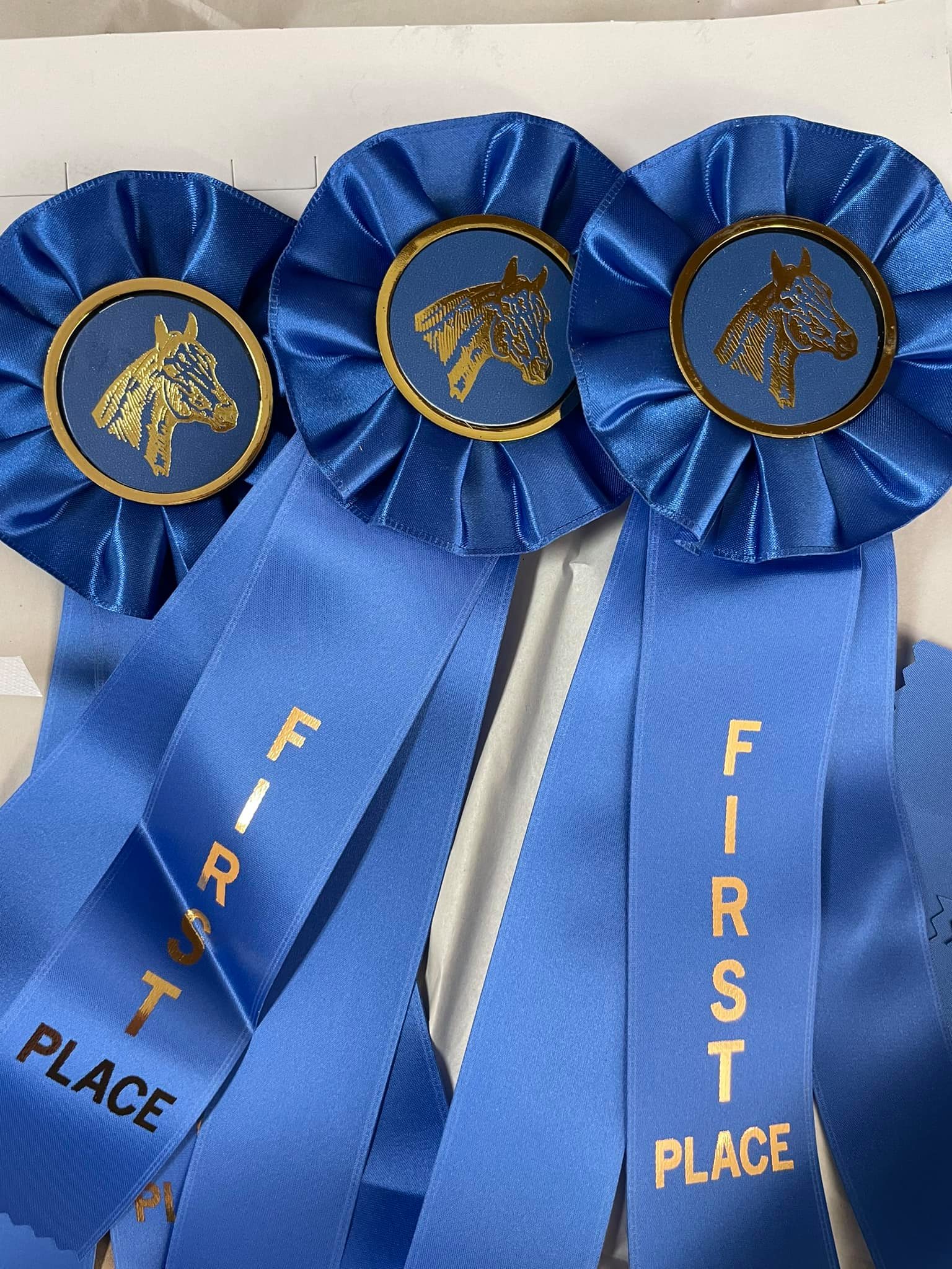 CSHA -... - CSHA - California State Horsemen's Association