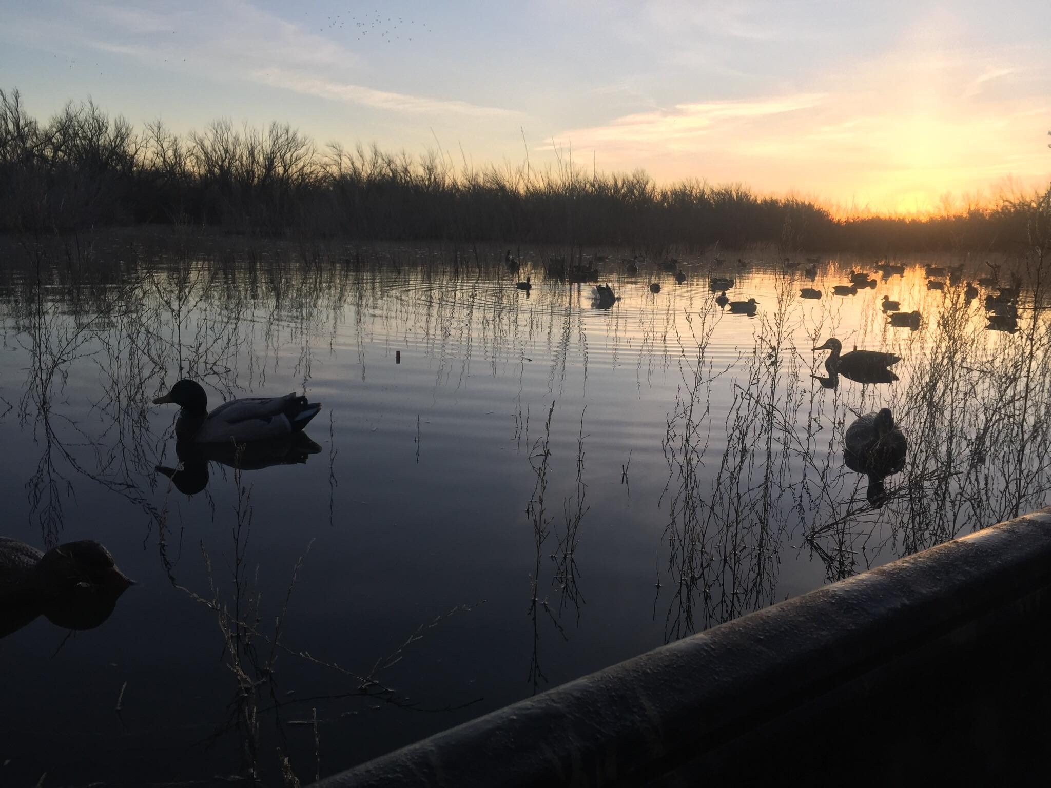 Seven Rivers Waterfowl