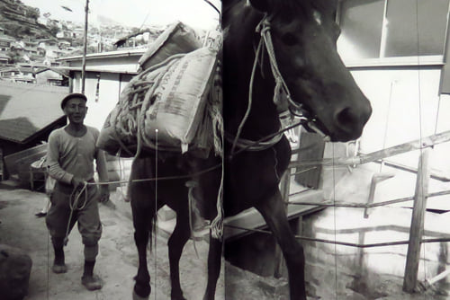 彦島のけしき - 馬子 馬子は、馬に荷物や人をのせて運ぶ仕事で、「馬方」や「馬追い」ともよばれます。... | Facebook