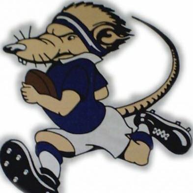 Manning River Ratz Rugby... - Manning River Ratz Rugby Club