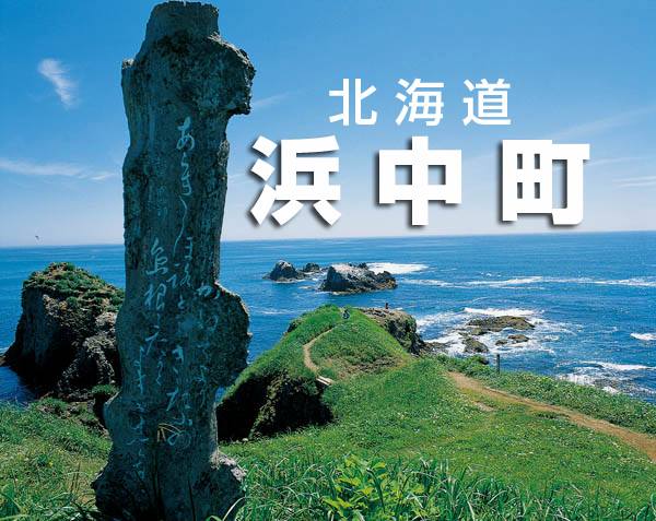 浜中町観光協会 - ／ 8月8日（土）〜9月12日（土） 霧多布湿原センターにて 「ラッコのいる海」写真展を開催🦦🌊... | Facebook