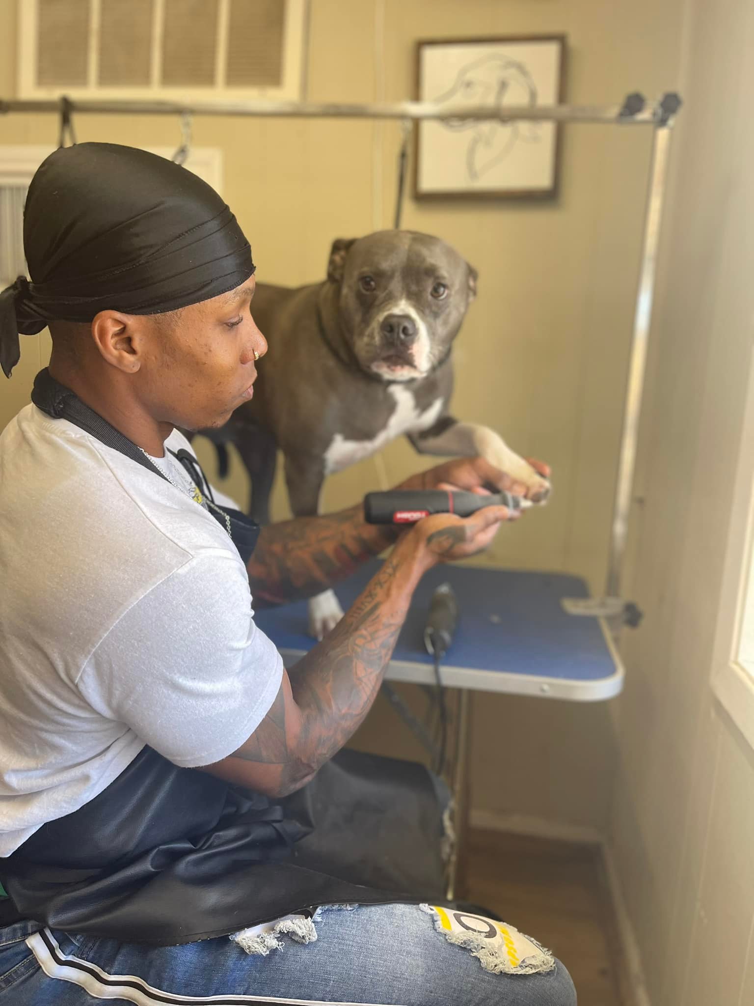 Dog Grooming Benton Ar