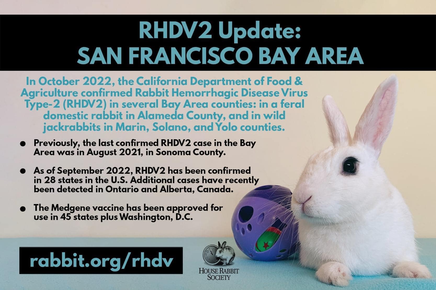 East Bay Rabbit Rescue - Home