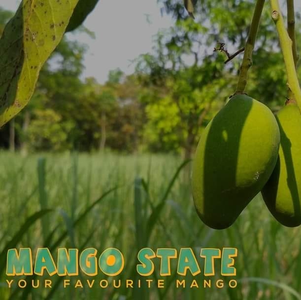 Mango State - Mango State added a new photo.