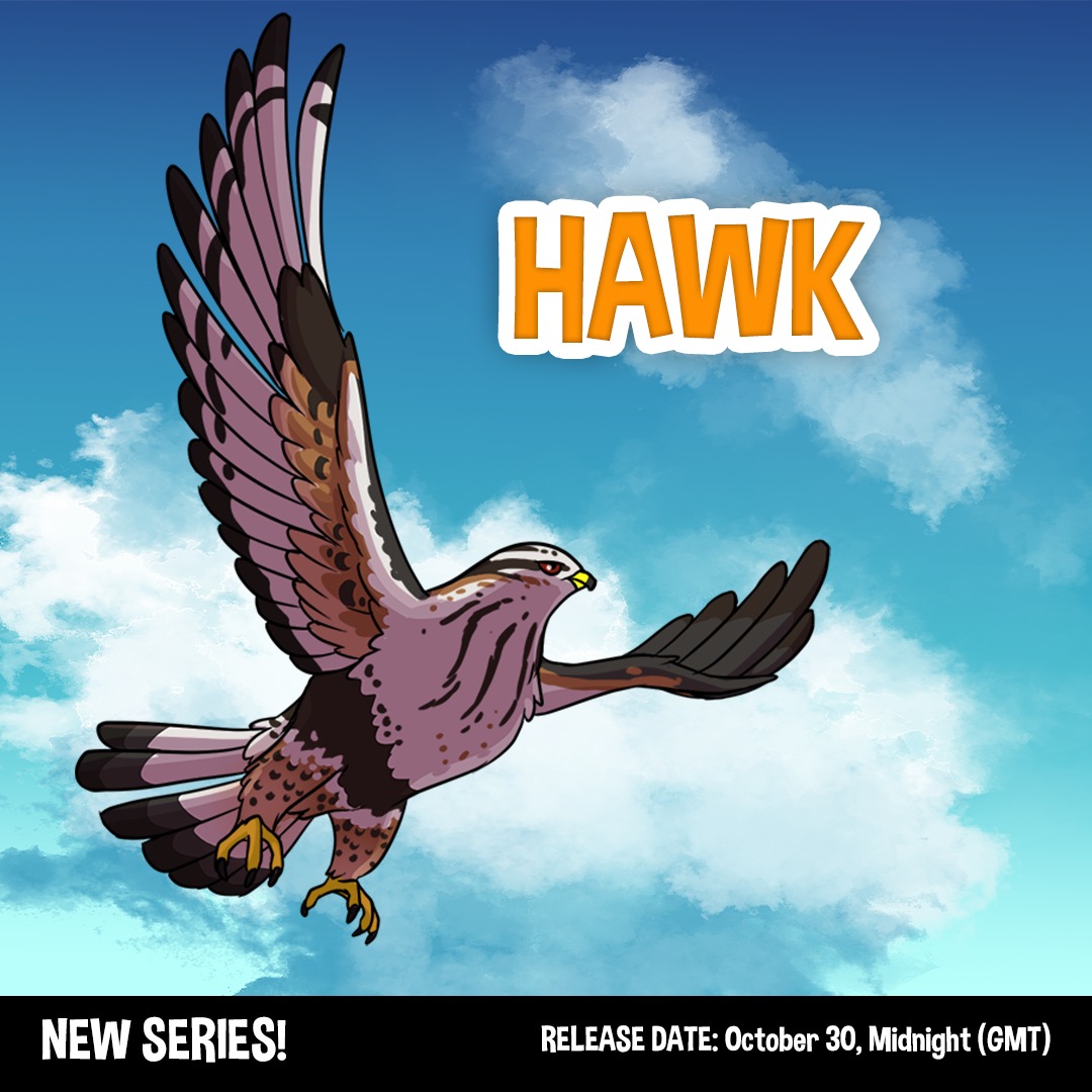 Hatchlings - Fun fact: Hawks have a visual acuity EIGHT...