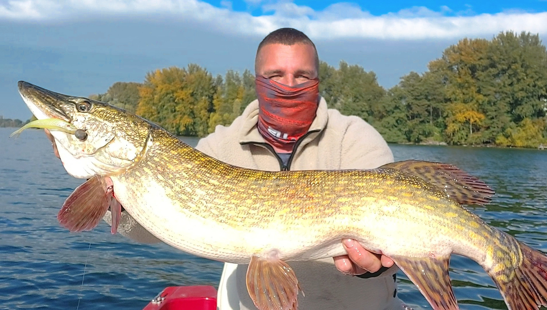 Fishus Lures - Andre Griesberg strikes again! It's the... | Facebook