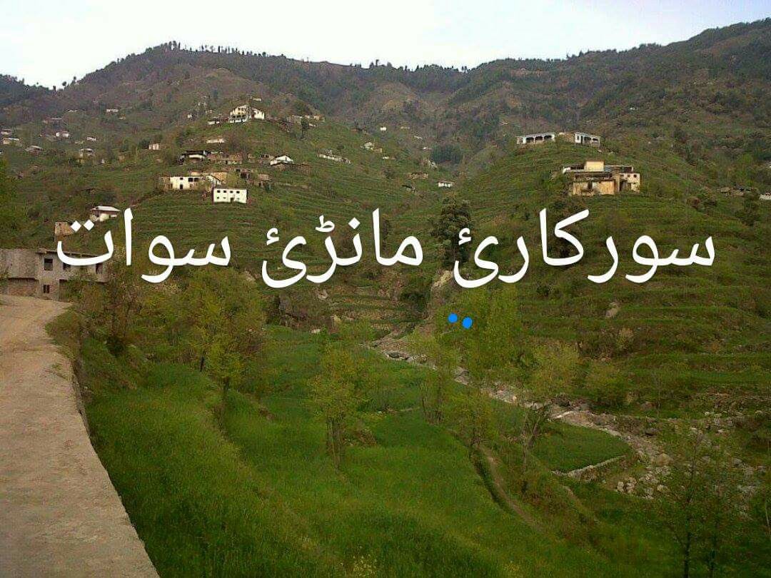 گلونه دا مانڑئ