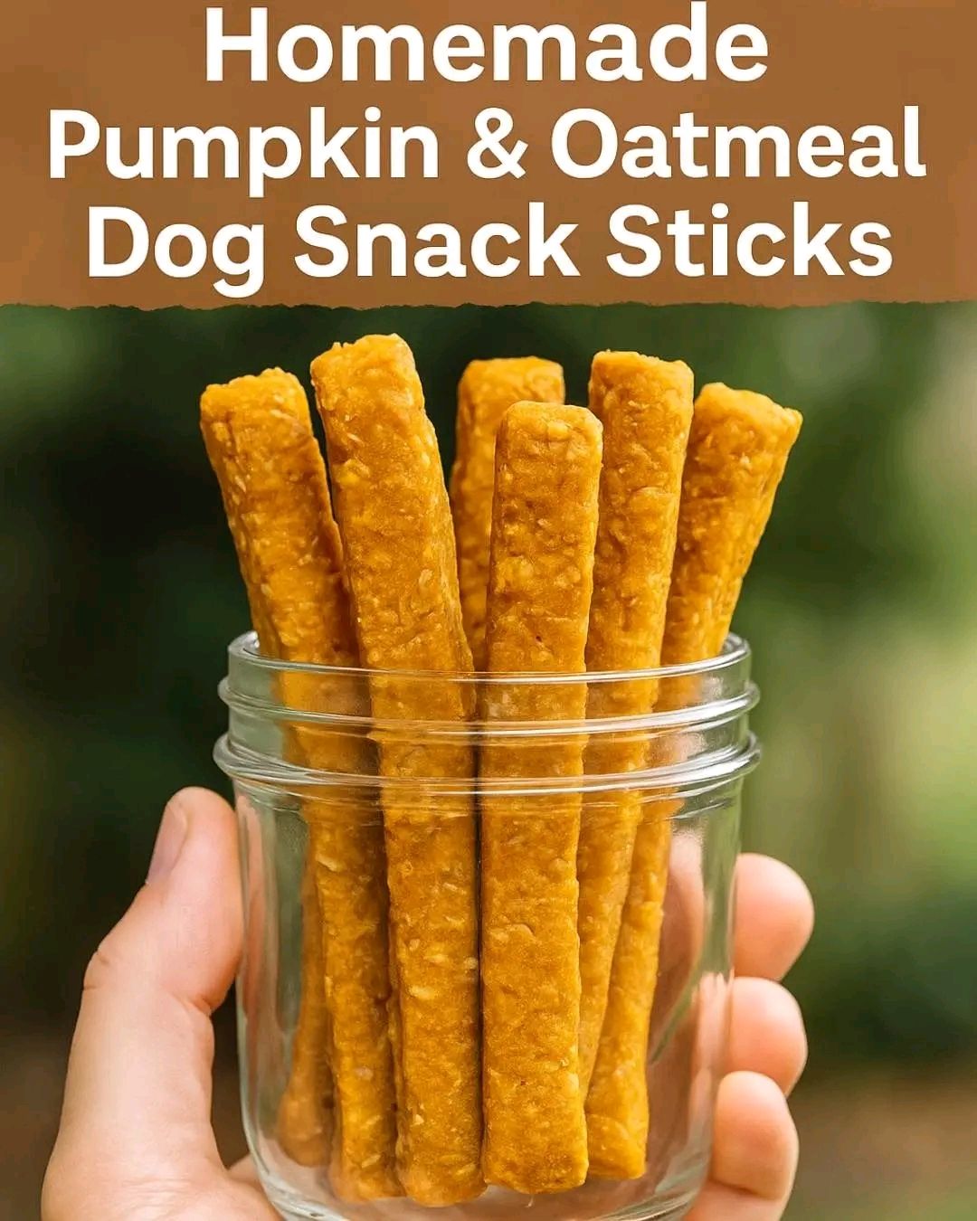 Homemade Pumpkin & Oatmeal Dog Snack Sticks: Easy Recipe Guide