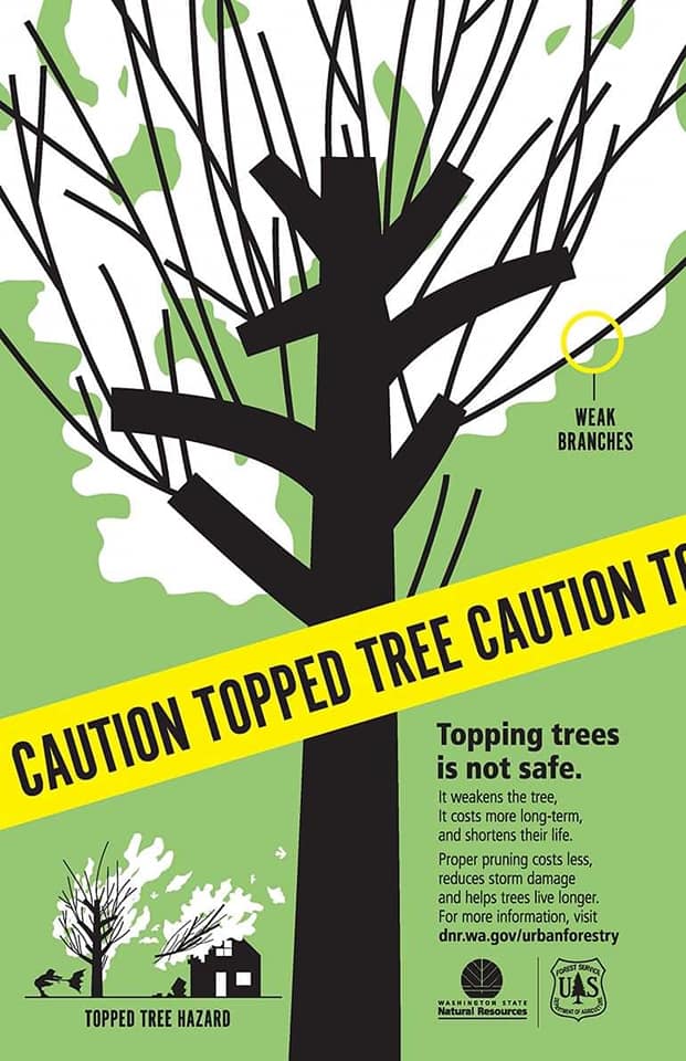 Patriot Tree Service LLC | Sebewaing MI