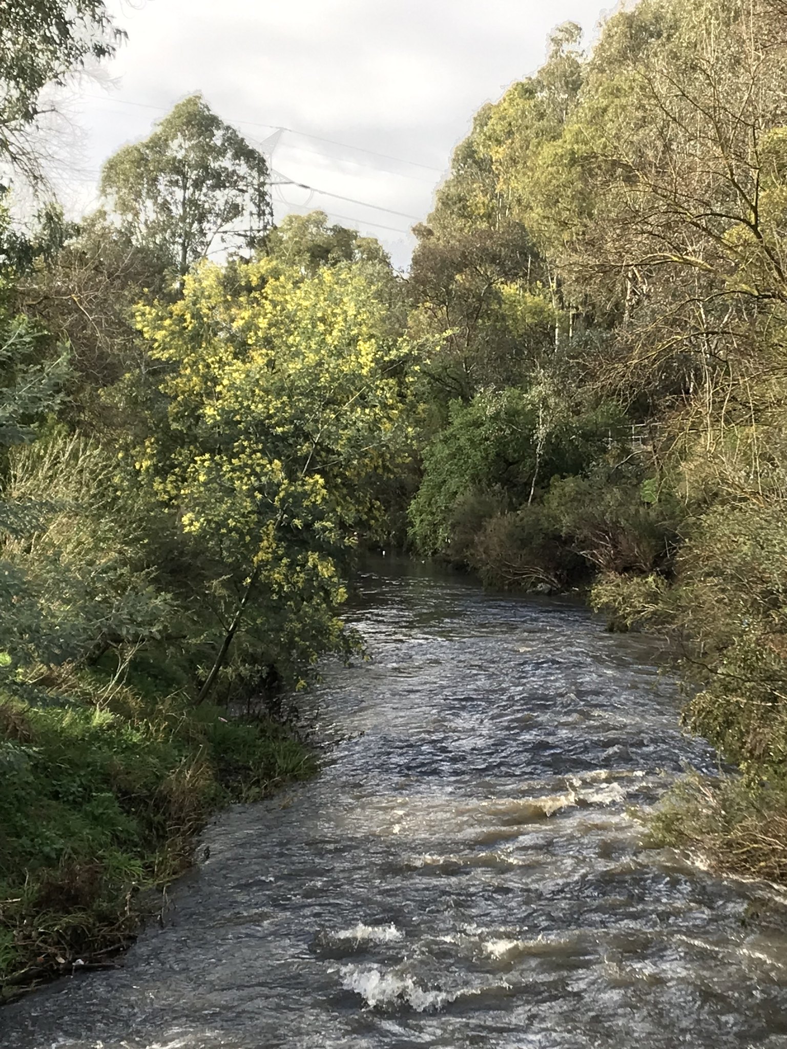 Friends of Merri Creek - On behalf of you, our Friends, we Pay the Rent ...