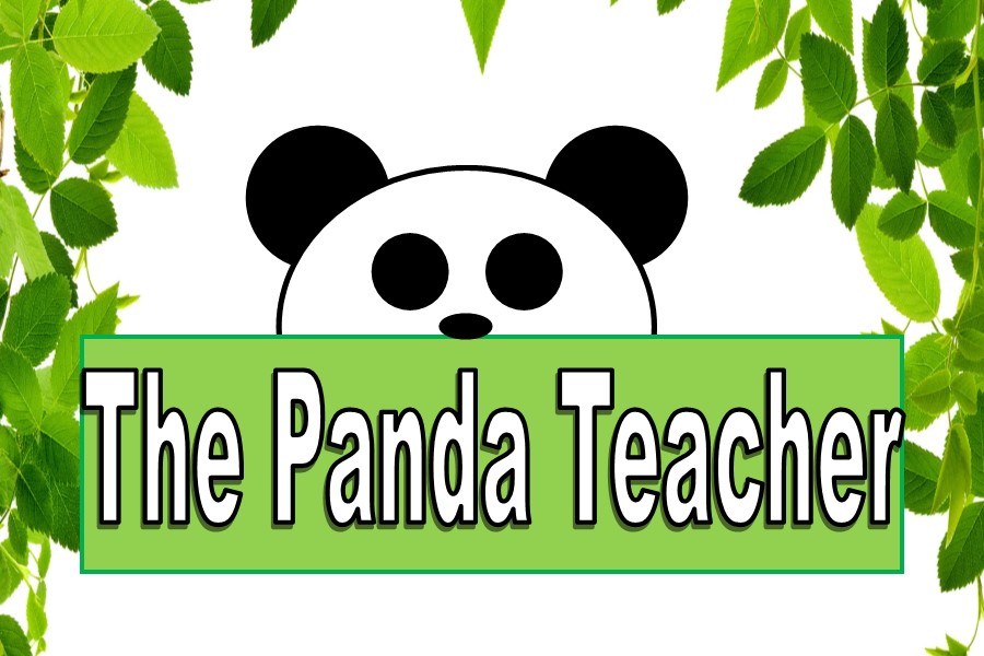 Panda Teacher
