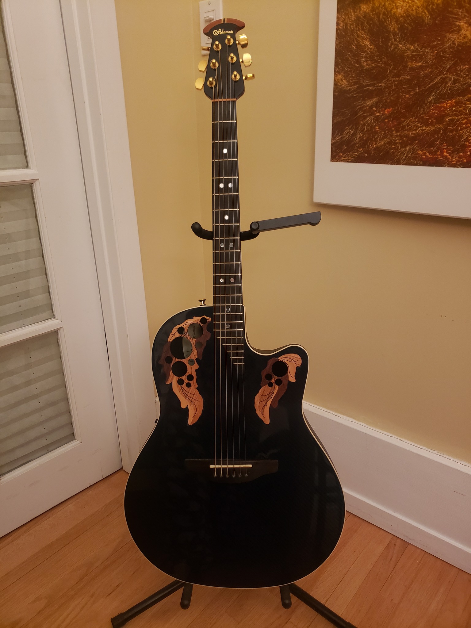 Thoughts on the W597 Adamas Series guitars?