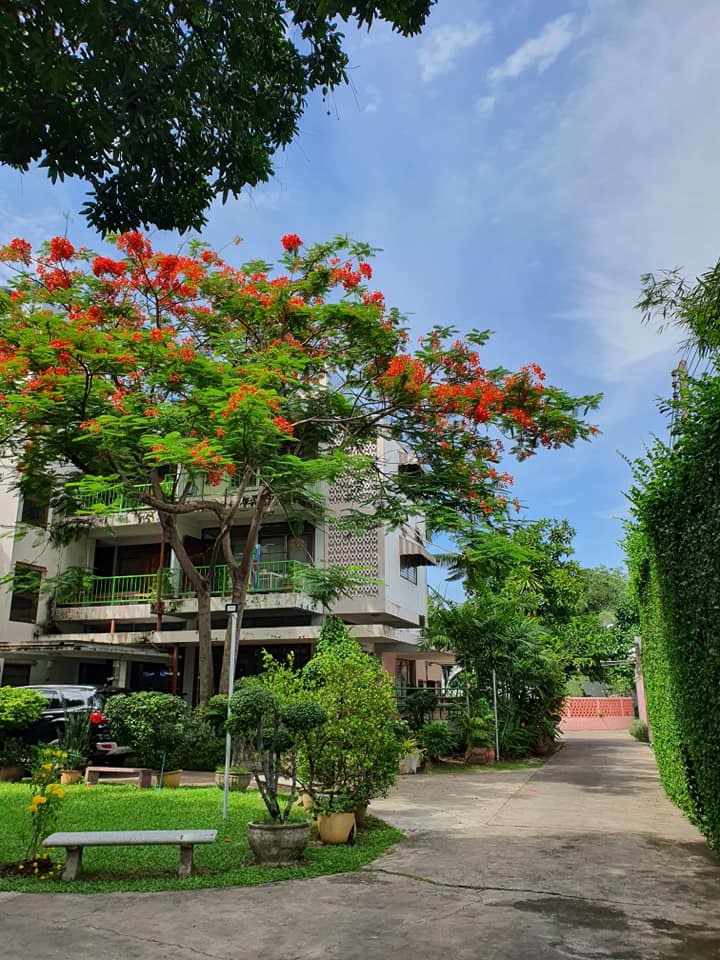 Samsen Court | Bangkok