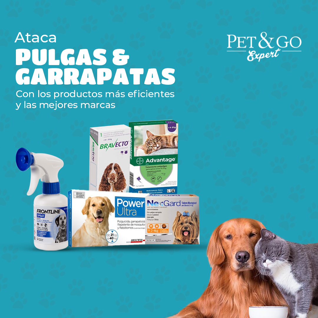 Pet&Go - ¡Chao pulgas y garrapatas! Estos parásitos... | Facebook