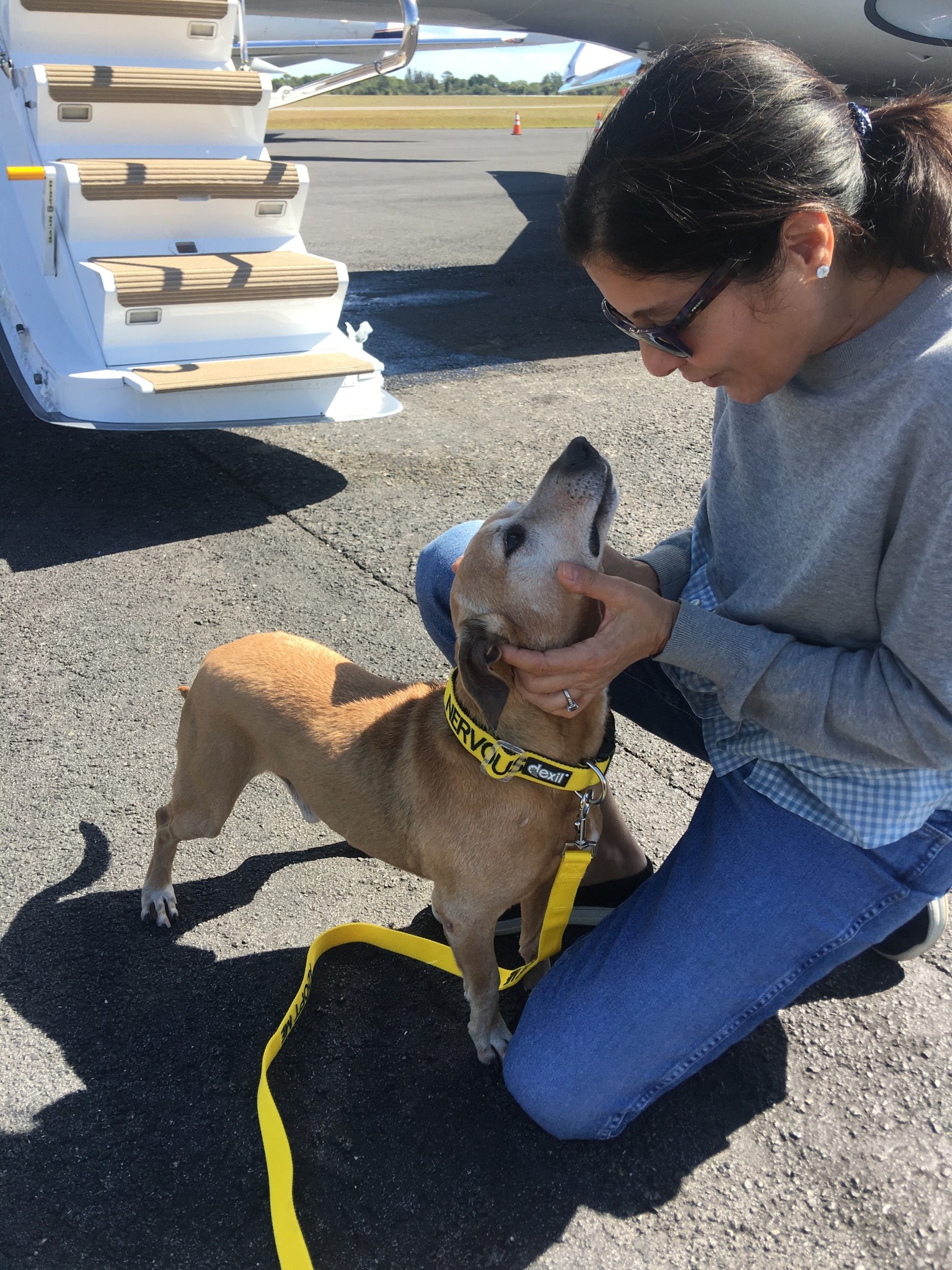 Happy Birthday... - Friends of Miami Animals Foundation, Inc.