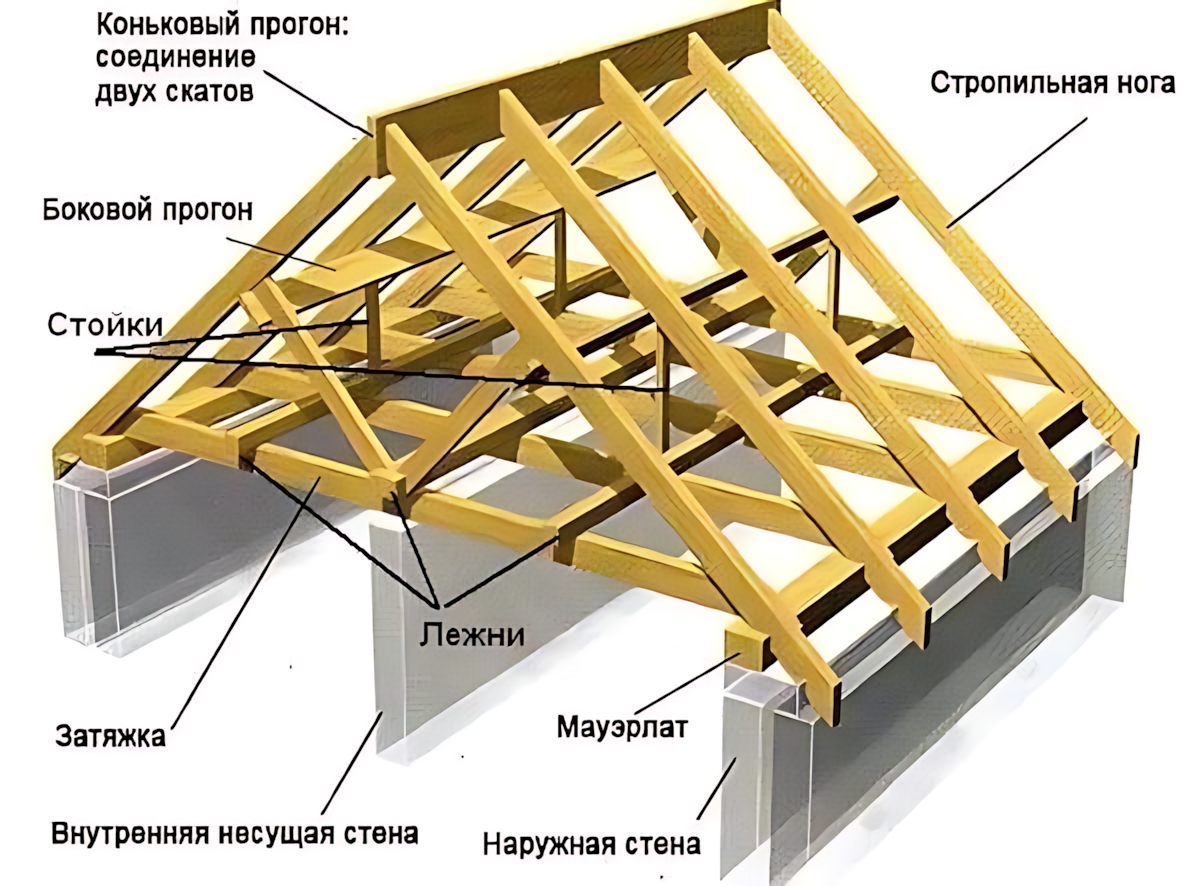 Nature’s - The image you provided shows a cross-section of a ...