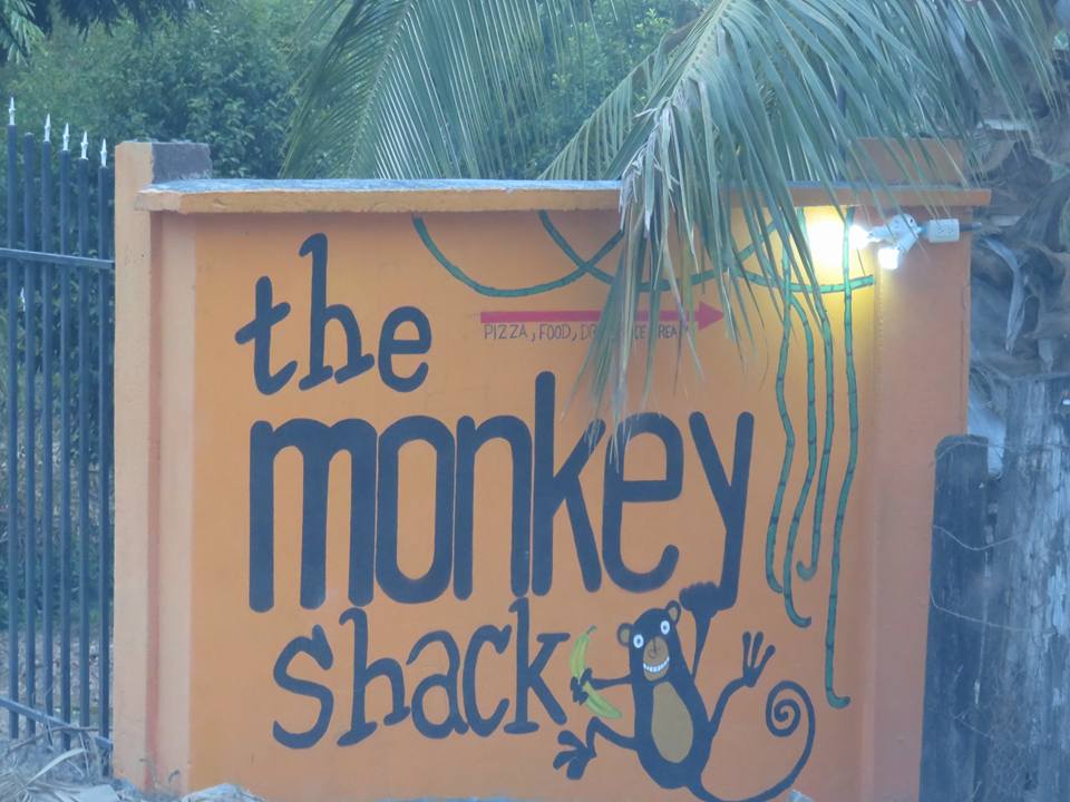 The Monkey Shack | Torio
