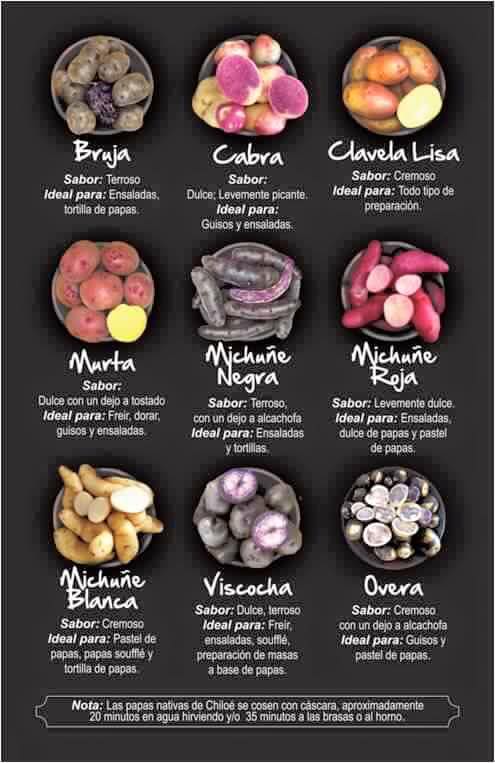 MAPUN POÑI (Papas nativas mapuche) - Mapuche ta Inchiñ | Facebook