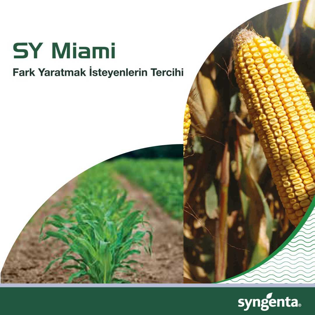 Syngenta Turkey - SY Miami, fark yaratmak isteyenlerin... | Facebook
