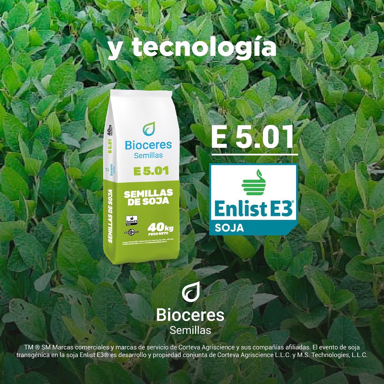 La variedad E 5.01 con tecnología... - Bioceres Semillas