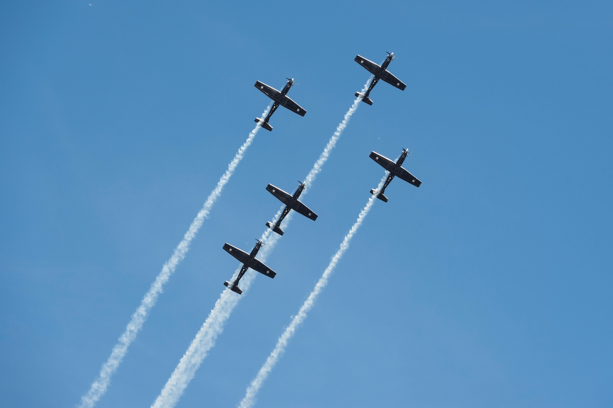 Dunedin - Is it a bird? Is it a plane? Yes, it’s a plane… The Royal New ...