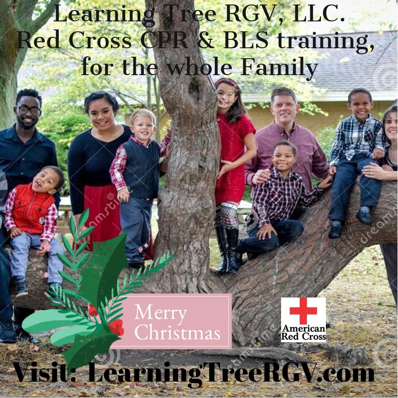 Learning Tree RGV, llc. | Downtown Harlingen TX