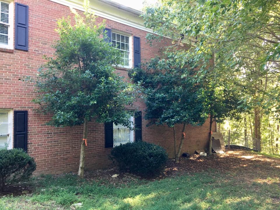 Superior Tree Service | Cornelia GA