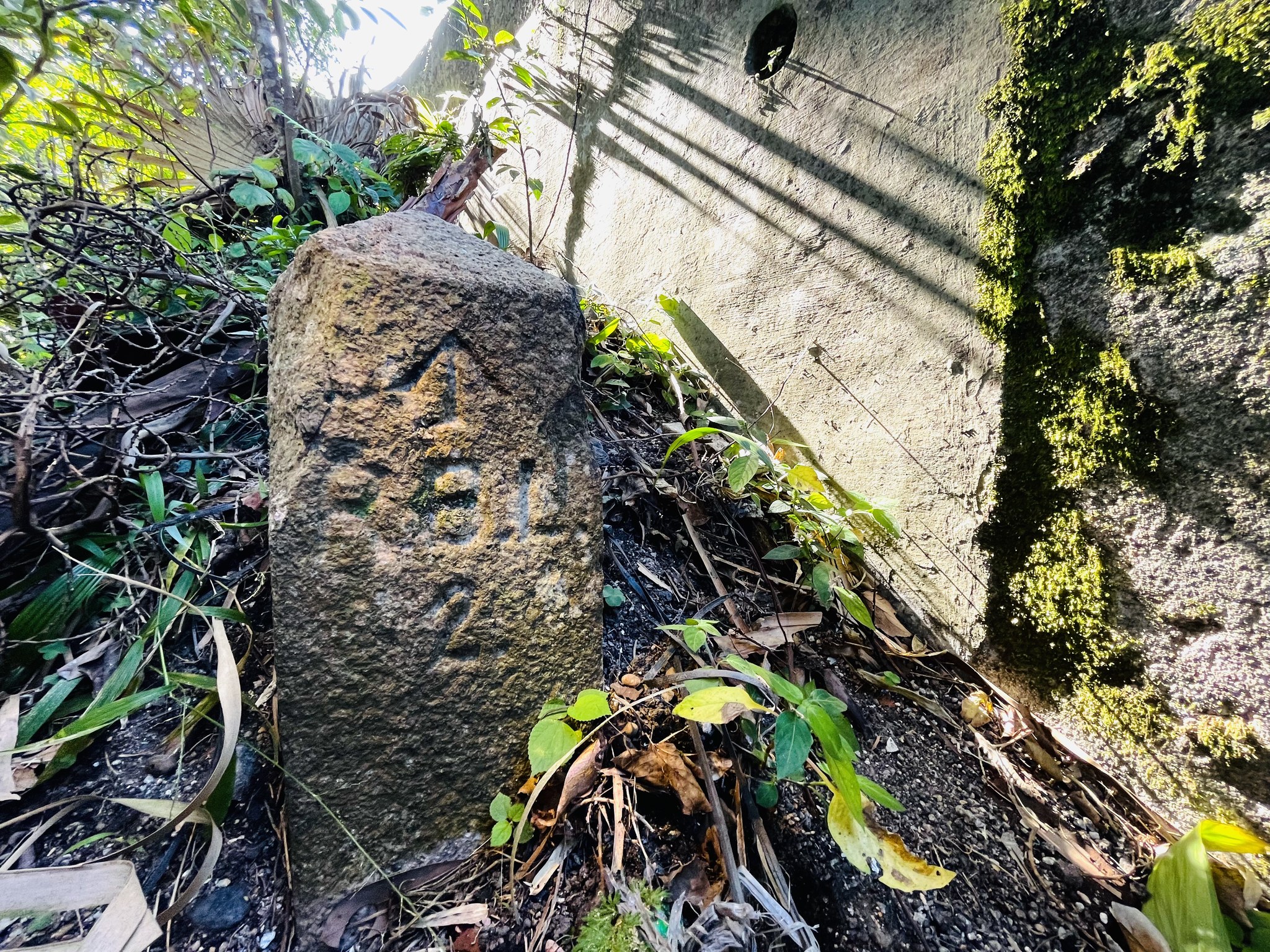 // 石頭紀事 - 帶着 Board Arrow 的RBL 2 地段界石... - Historical Walk HK