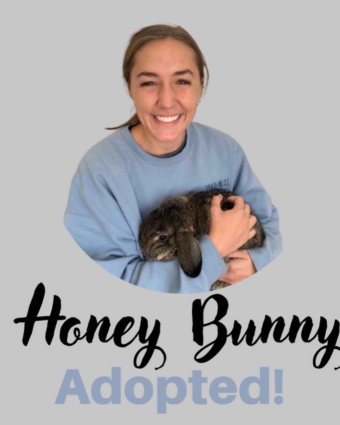 Honey Bunny was at death’s door... - Alabama Rabbit Rescue | Facebook