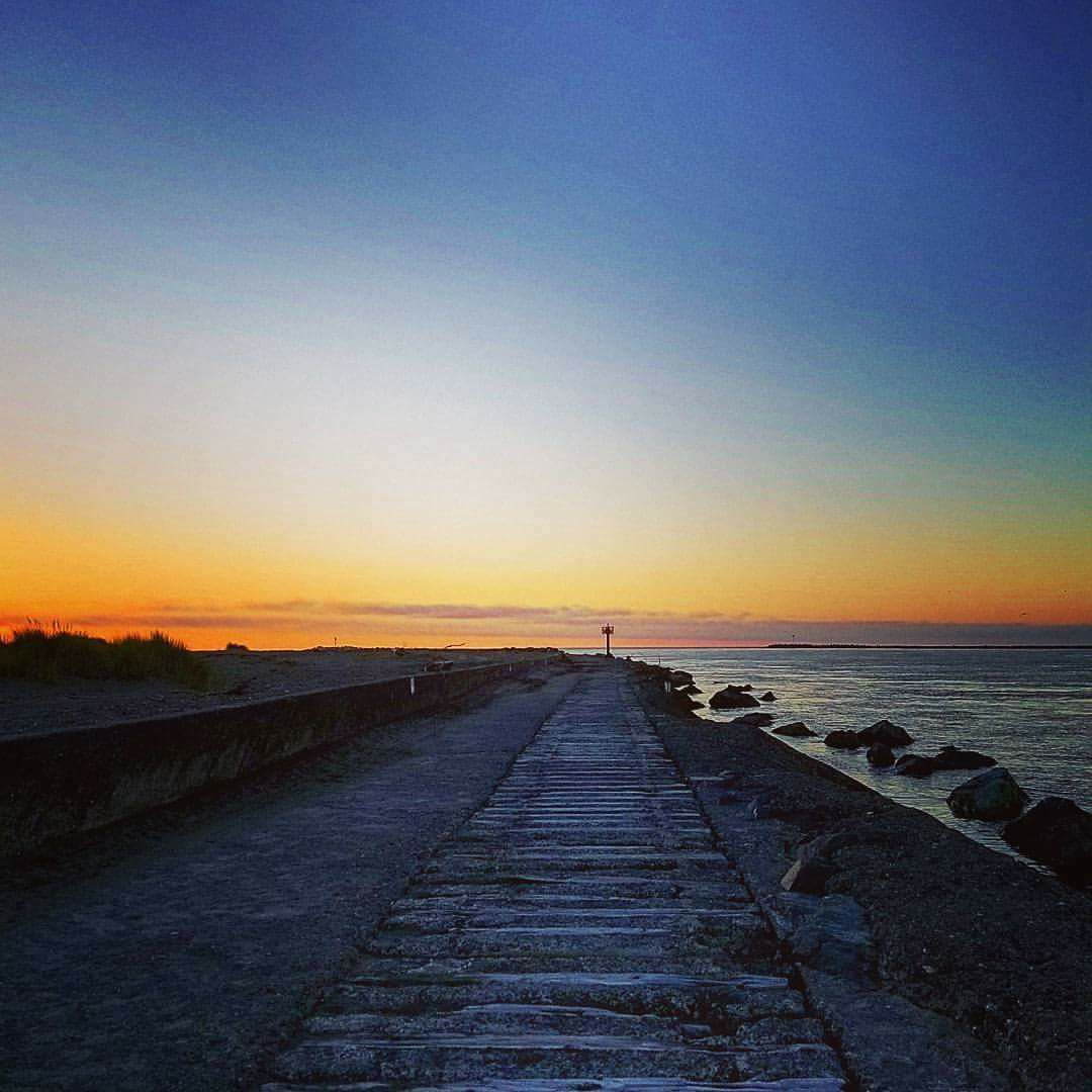 Humboldt Jetty Rats