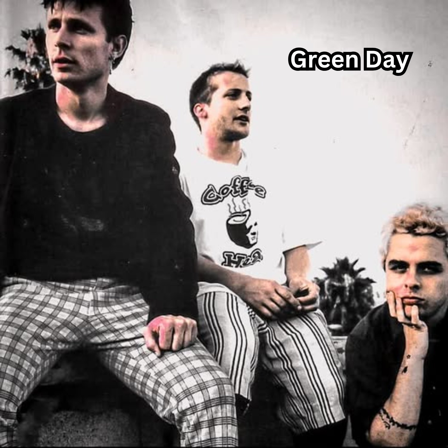 ミュージシャン dead stock green day 1995 DOOKIE XL Green Day Drops