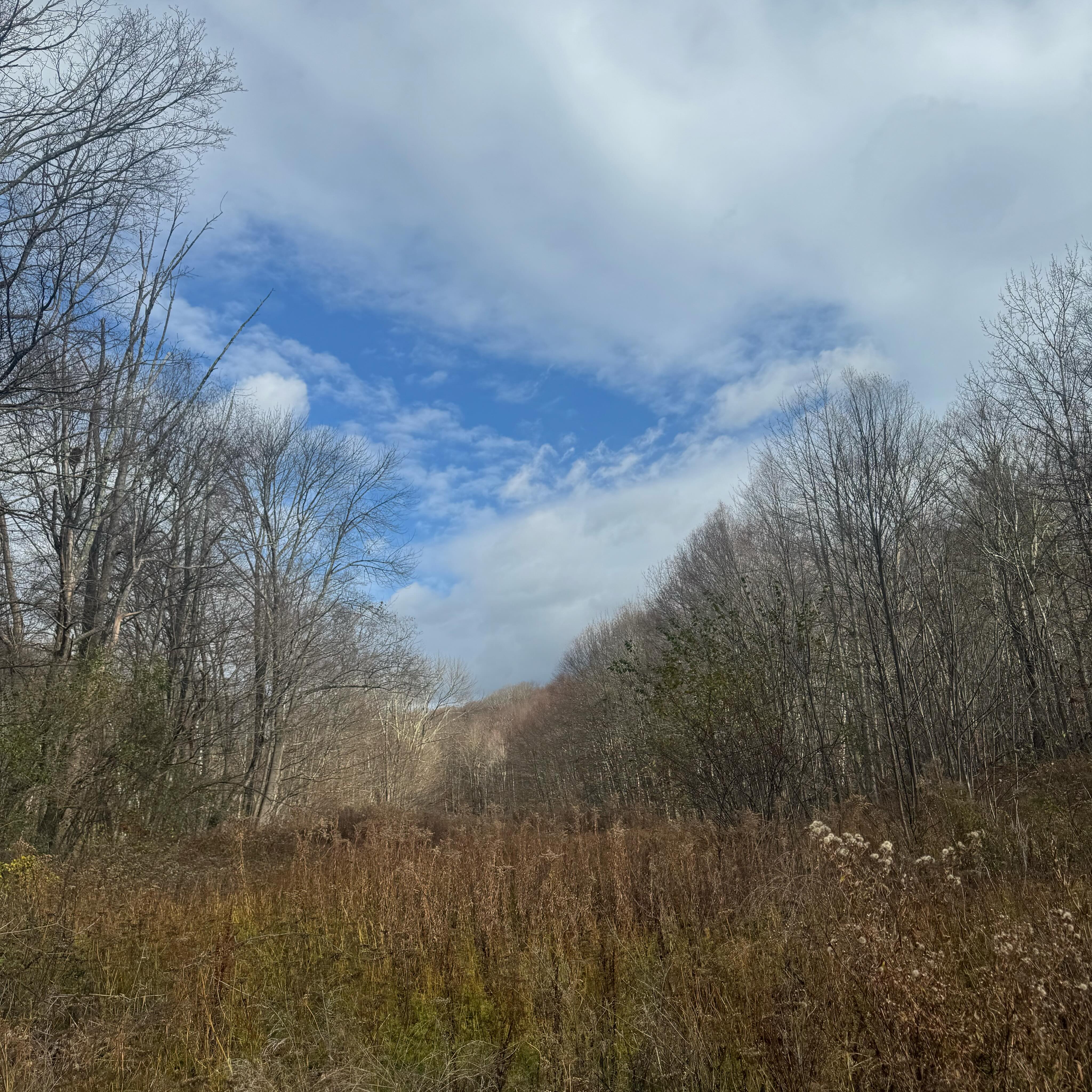 Rep. Mike Rice | Dorset VT
