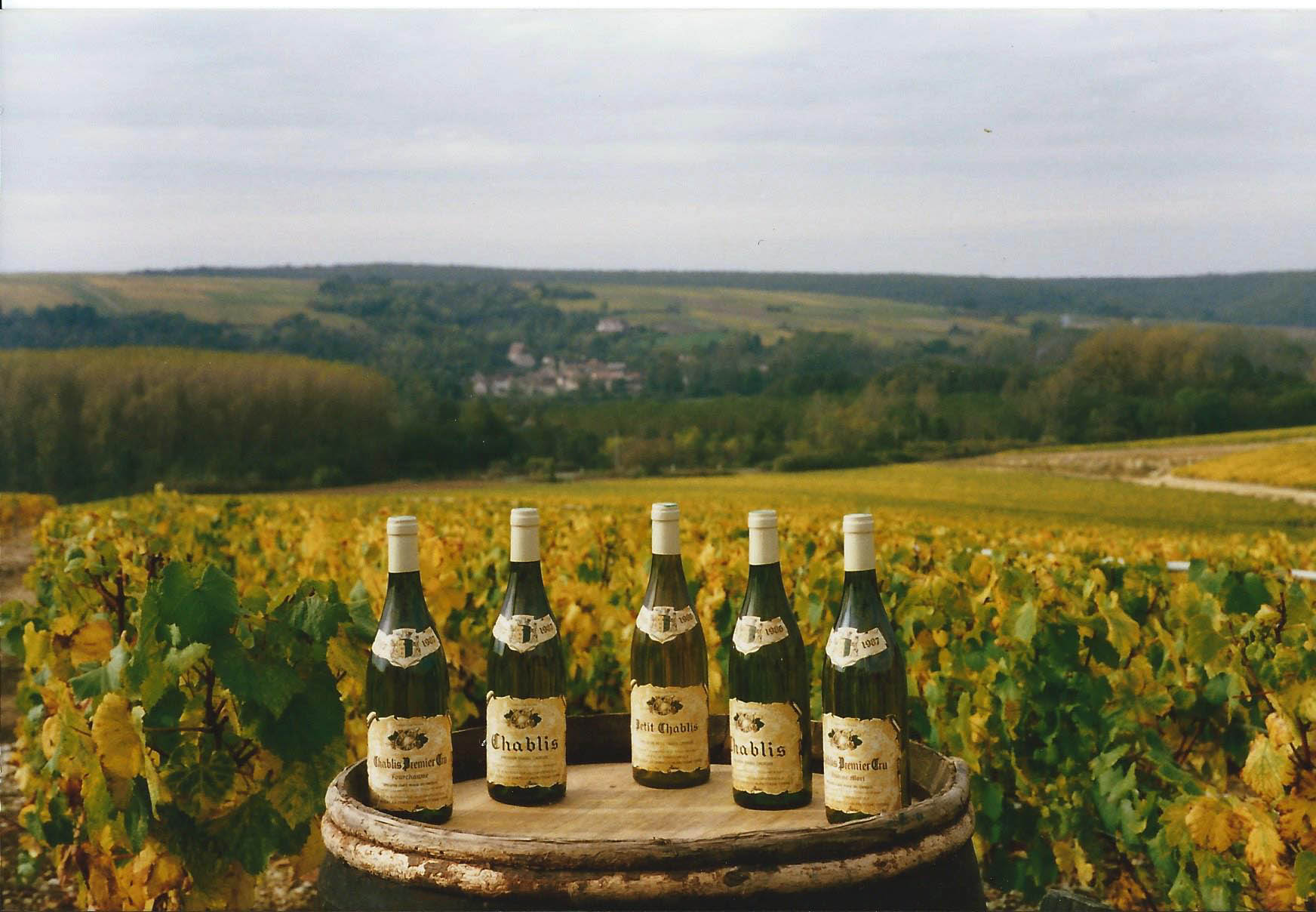 Domaine Mathieu Cosme added a new... - Domaine Mathieu Cosme