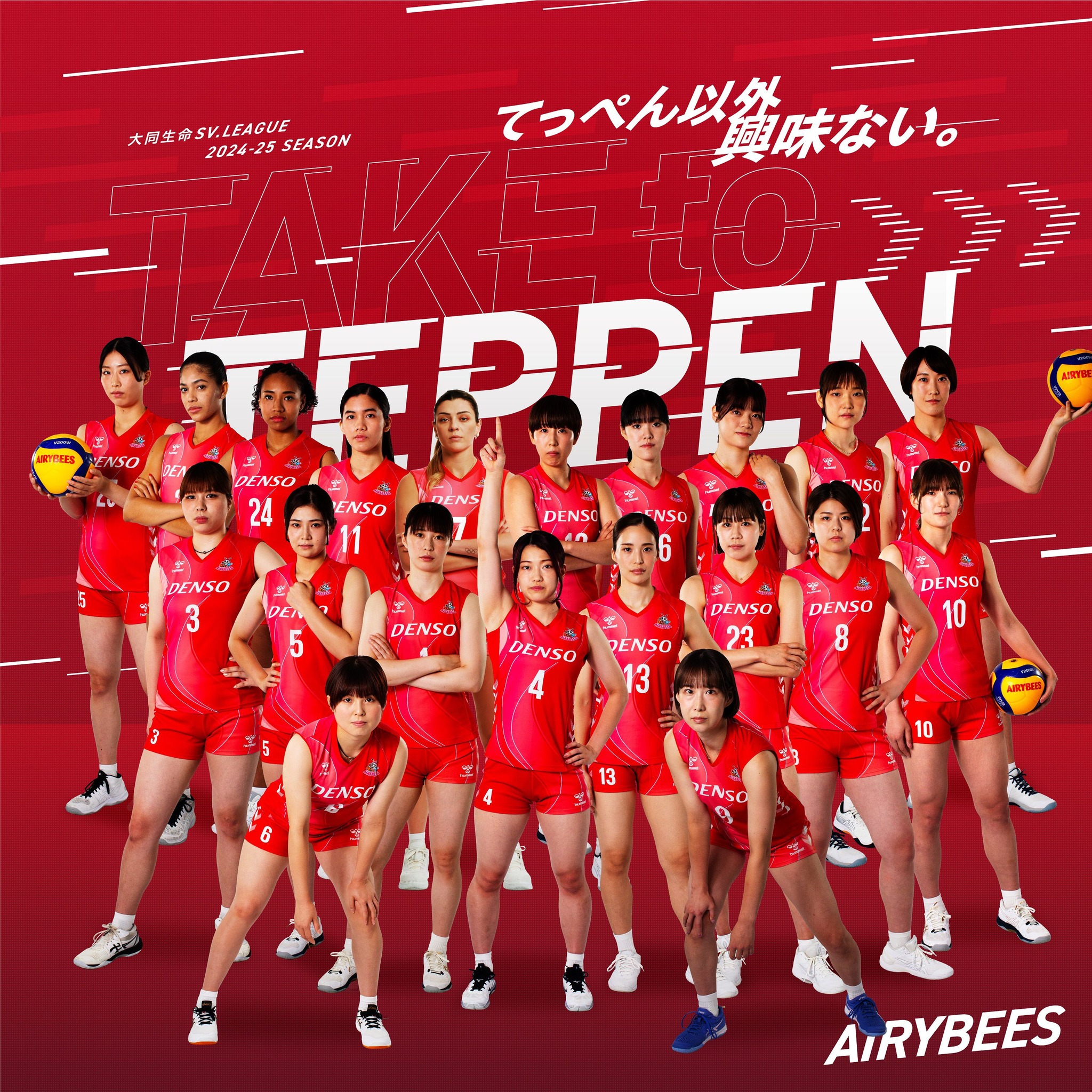 DENSO AIRYBEES ベスト レア！非売品！ DENSO AIRYBEES ベスト レア