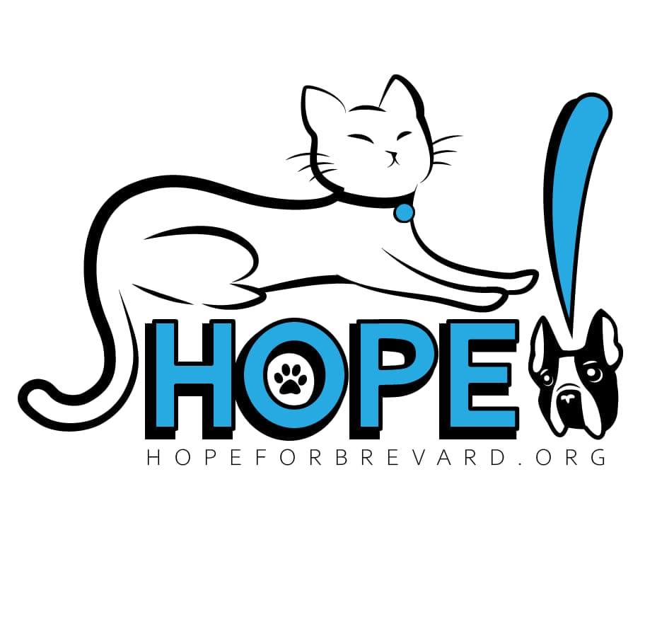 Boo basket at the adoption center for... - HOPE for Brevard | Facebook