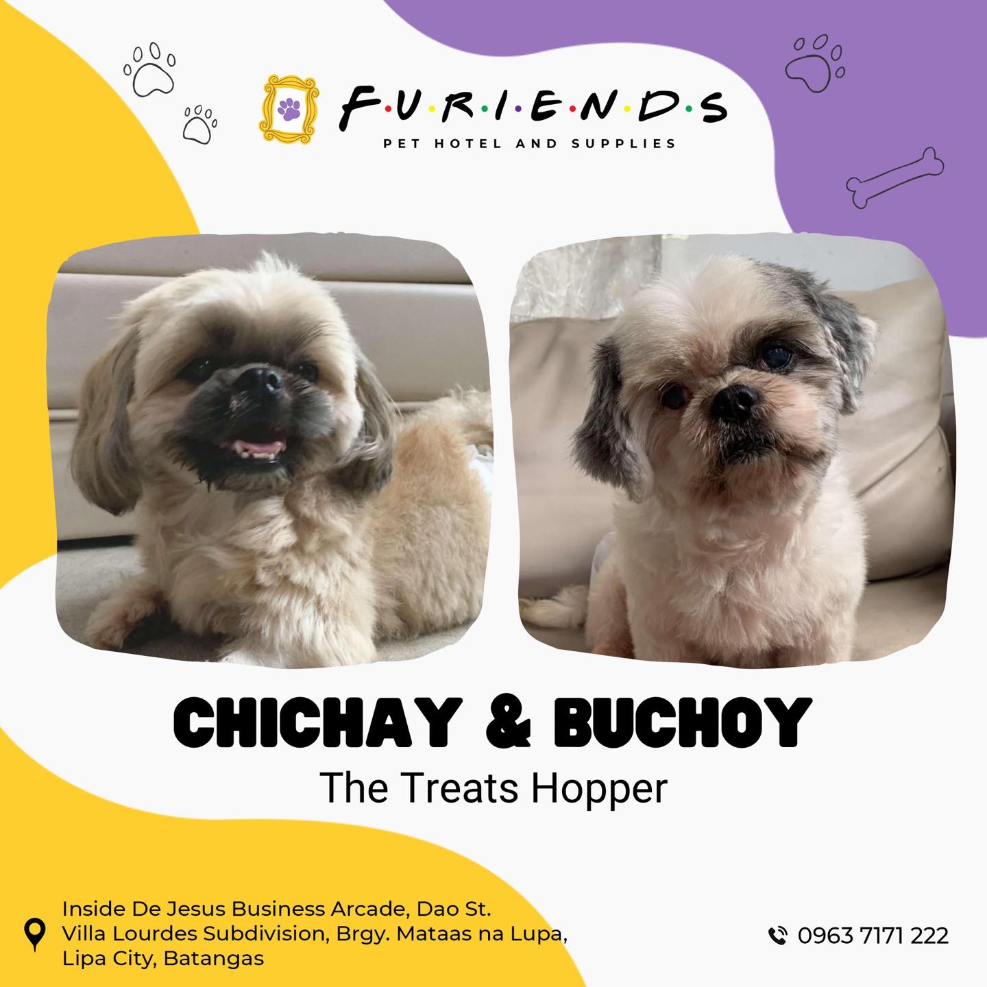 Furiends Pet Hotel & Supplies | Lipa City