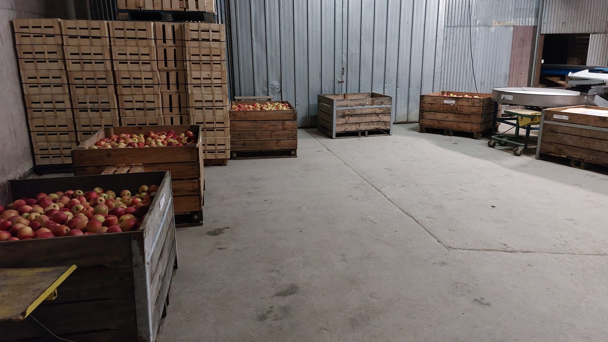 Foire Aux Pommes Mont Pres Chambord 2022