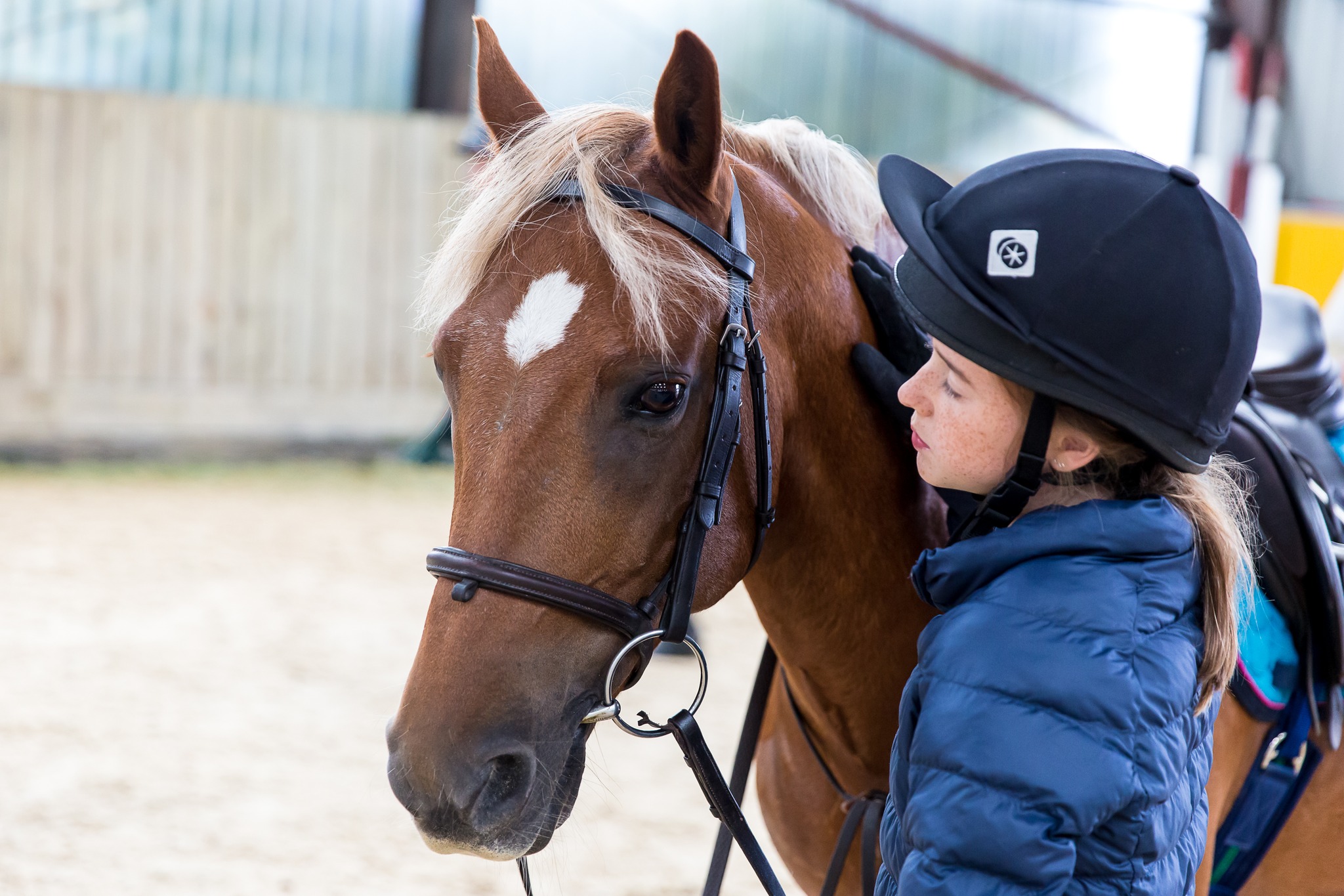 💼 Changing Lives Through Horses... - British Horse Society | Facebook