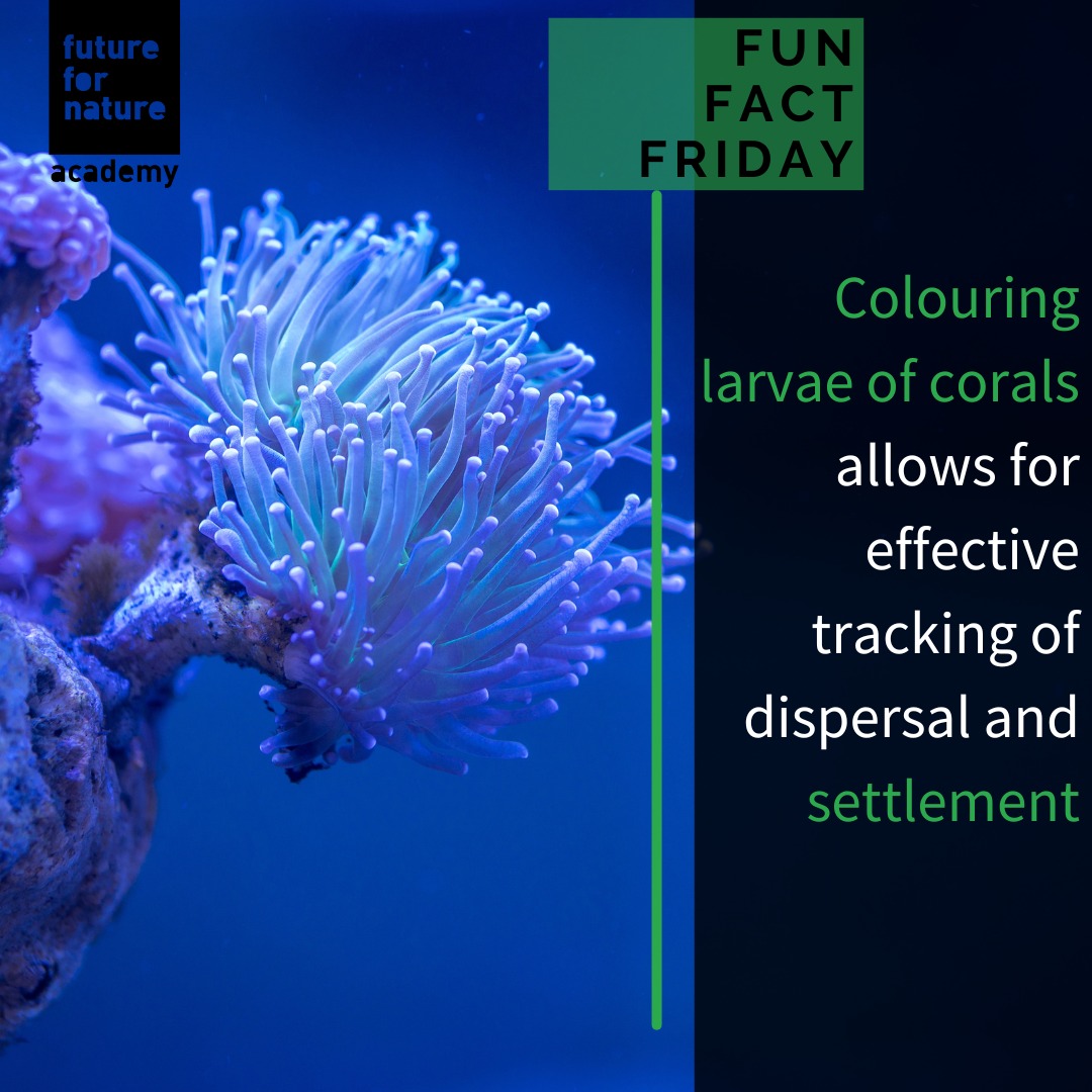 Marine researchers are testing... - Future For Nature Academy