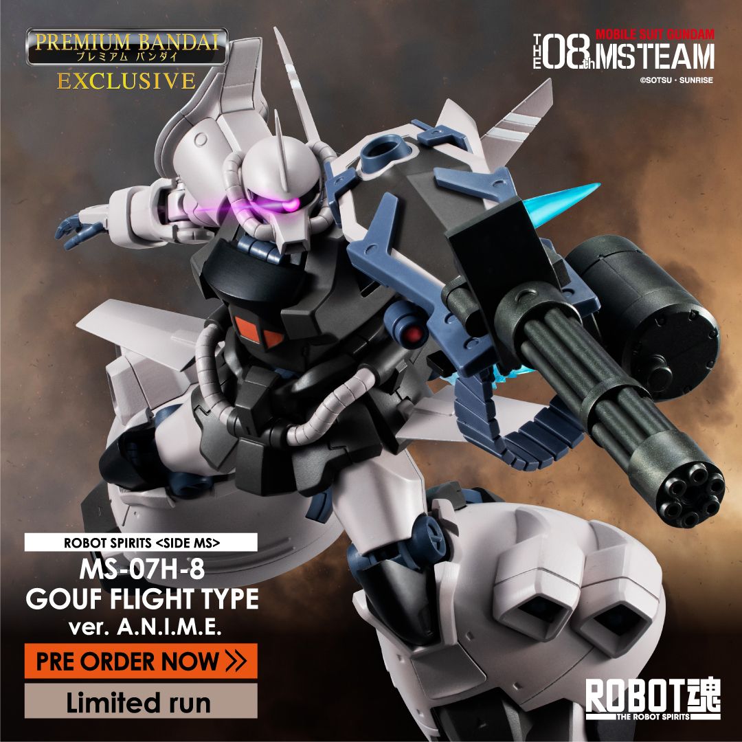 ROBOT SPIRITS <SIDE MS> MS-07H-8 GOUF FLIGHT TYPE ver. A.N.I.M.E.