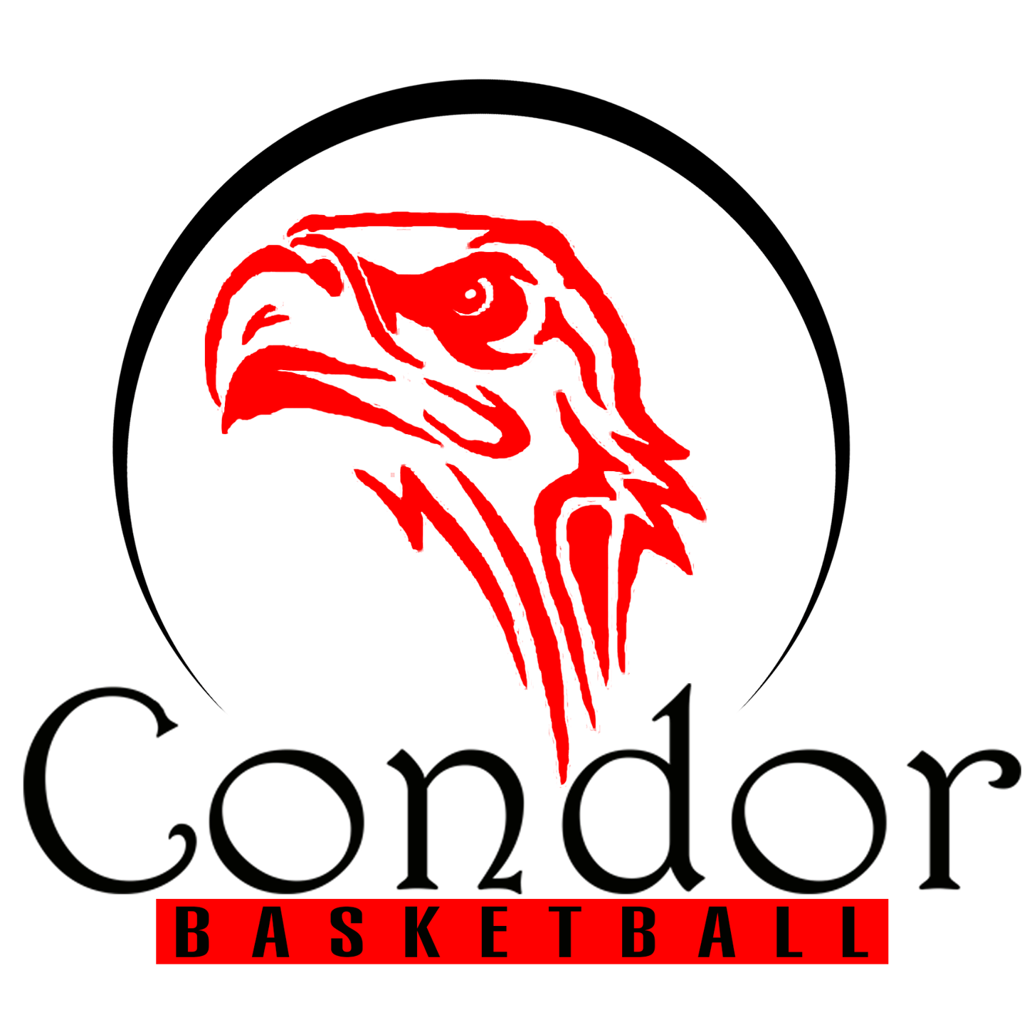 La grande famille CONDOR est en... - Condor Basketball Club | Facebook