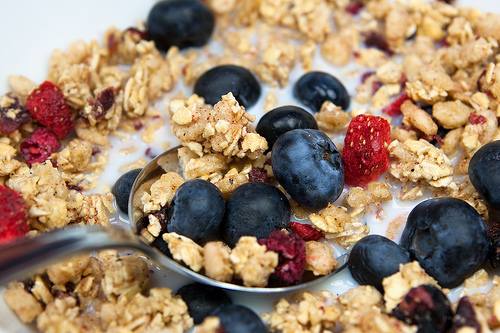 Justine Roth Nutrition | New York NY