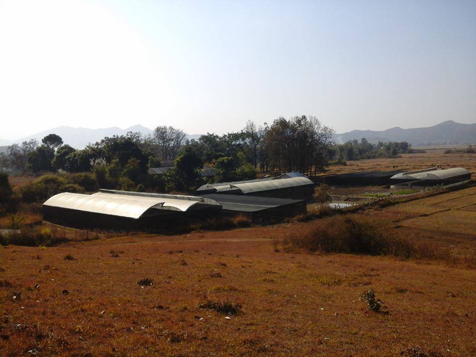 Chingnungkok